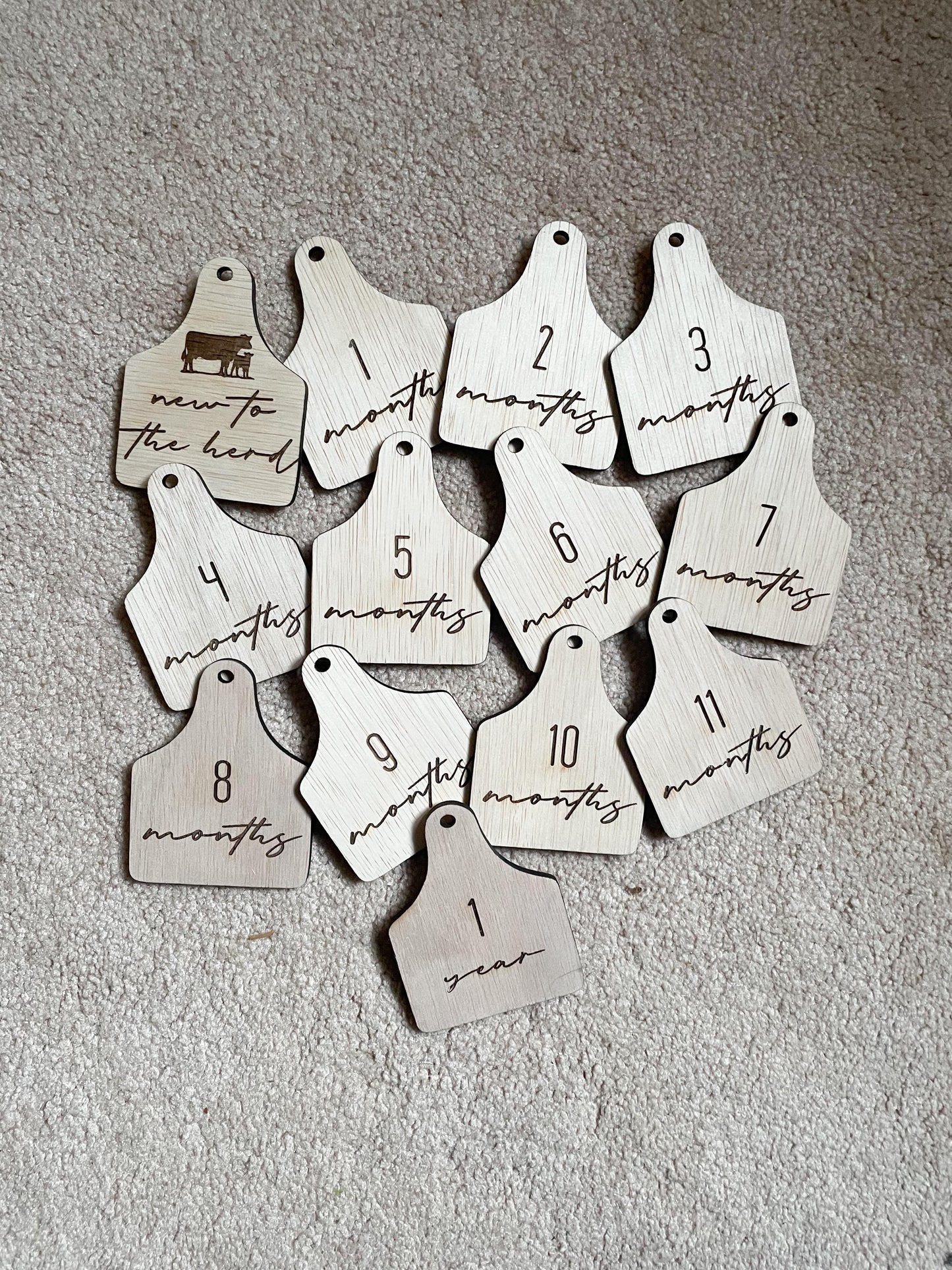 Birth Announcement Board & Milestone/Age Tags